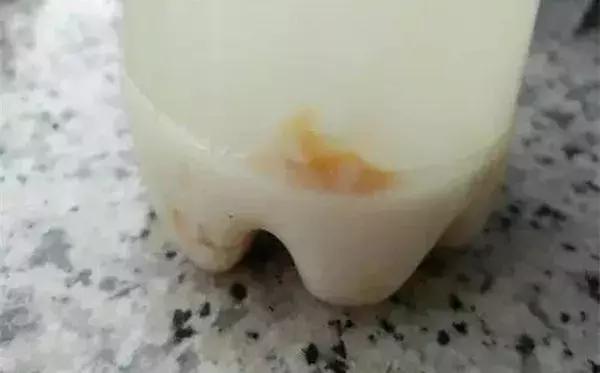 绿萝加点什么两三米长都不是问题,绿萝怎么长得壮可以爬墙