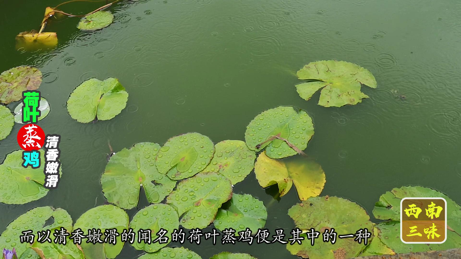 荷叶蒸鸡好吃吗,荷叶蒸鸡肉