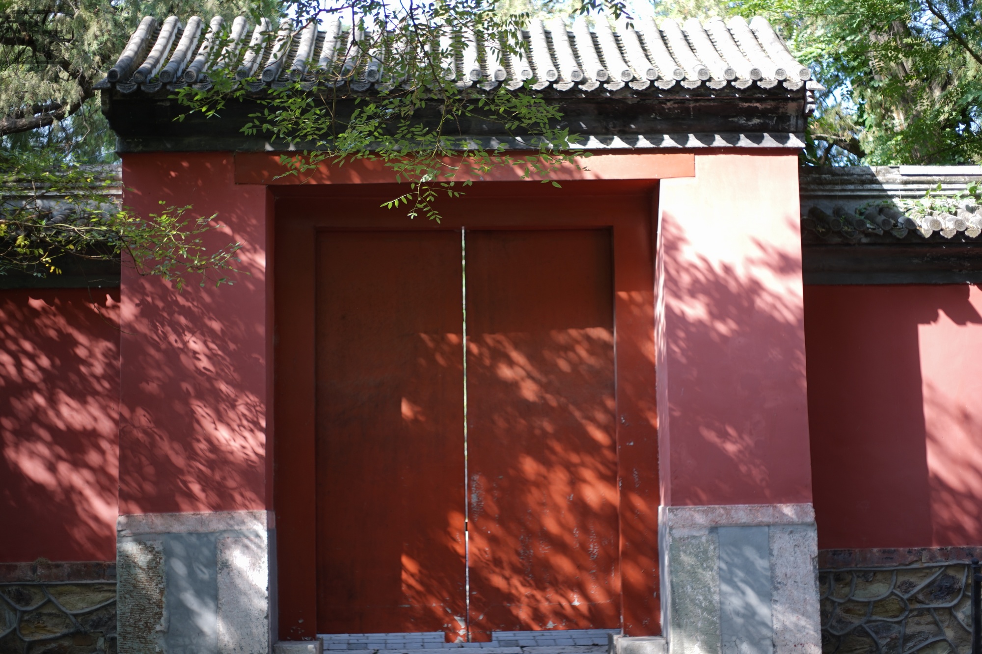 宾得老镜头k系列,老北京镜头