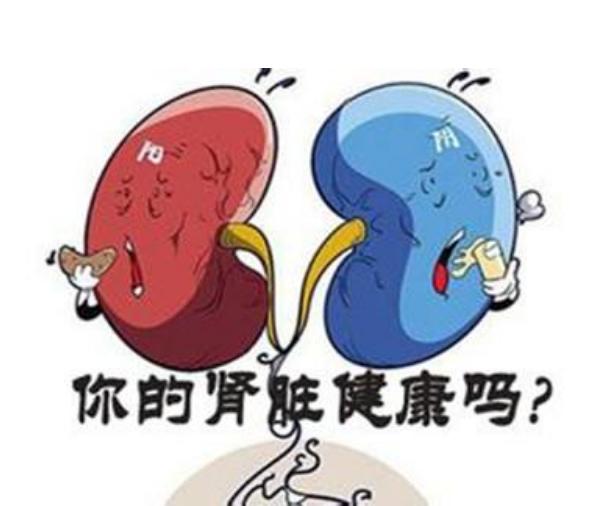 轻微肾炎吃肾康能治好吗,急性肾炎双肾肿大严重吗