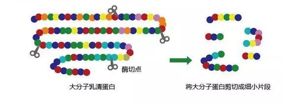奶粉的套路和内幕,揭秘奶粉内幕