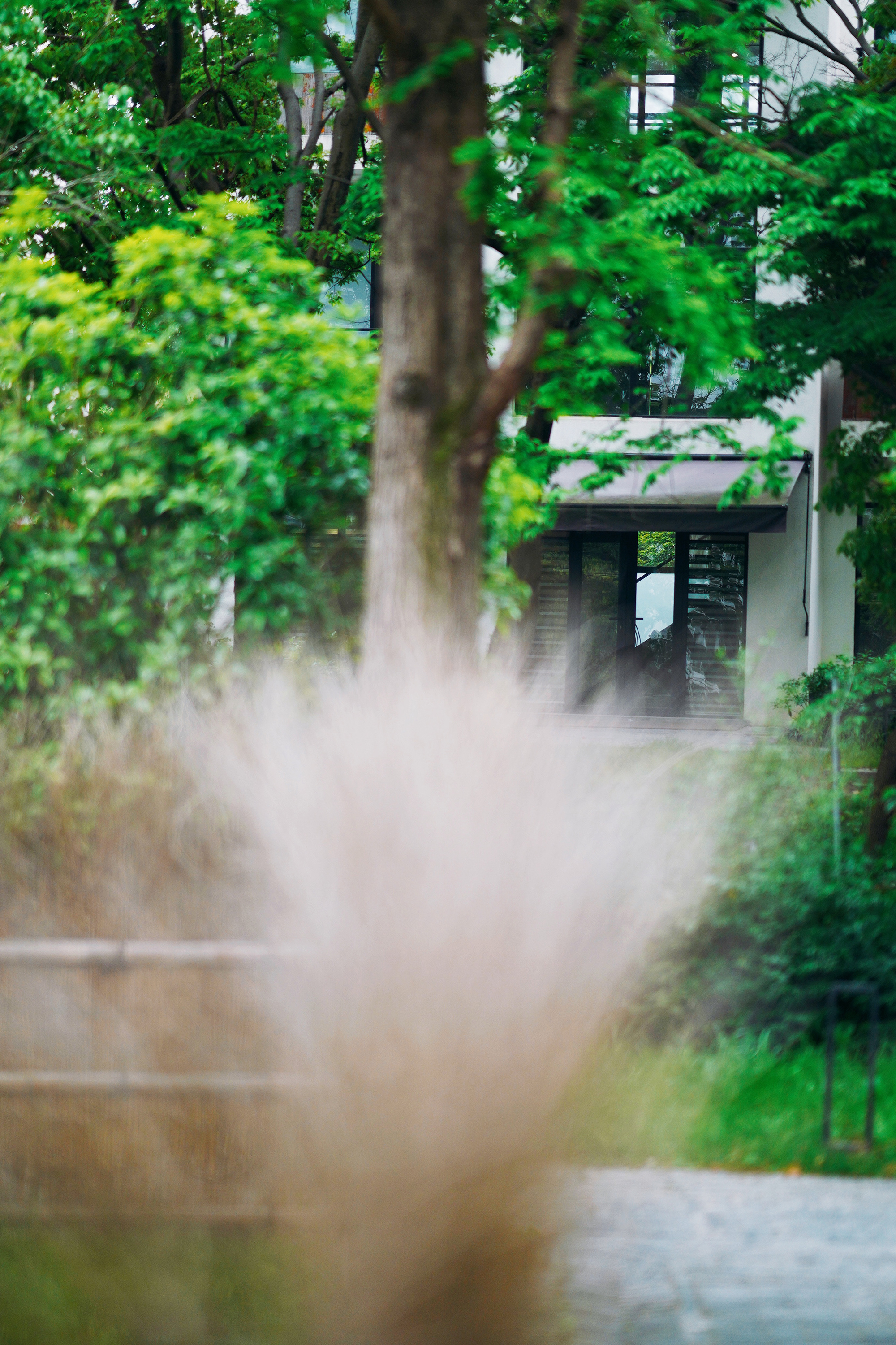 送你一份最地道的苏州逛吃攻略,苏州便宜又好看的民宿推荐