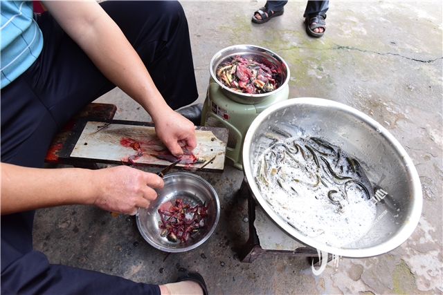 走进我们的小康生活专题,走进我们的小康生活记录