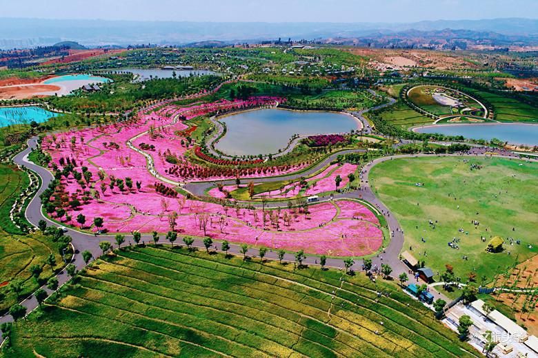 来到这个花田胜景小镇，拥抱“南国御养”健康生活目的地