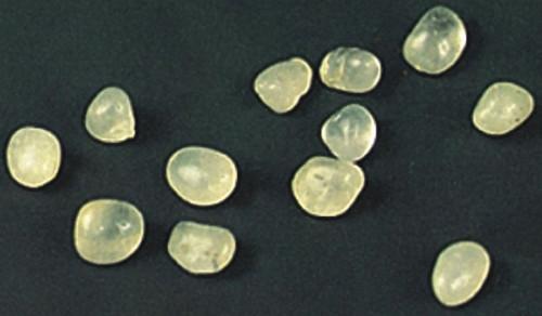 高僧舍利子怎么形成的科学解释,佛教中讲的舍利子是怎样形成的