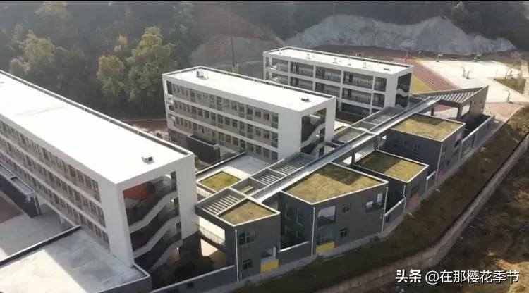 赣县稀金二小教学质量,赣县区稀金第二小学学费