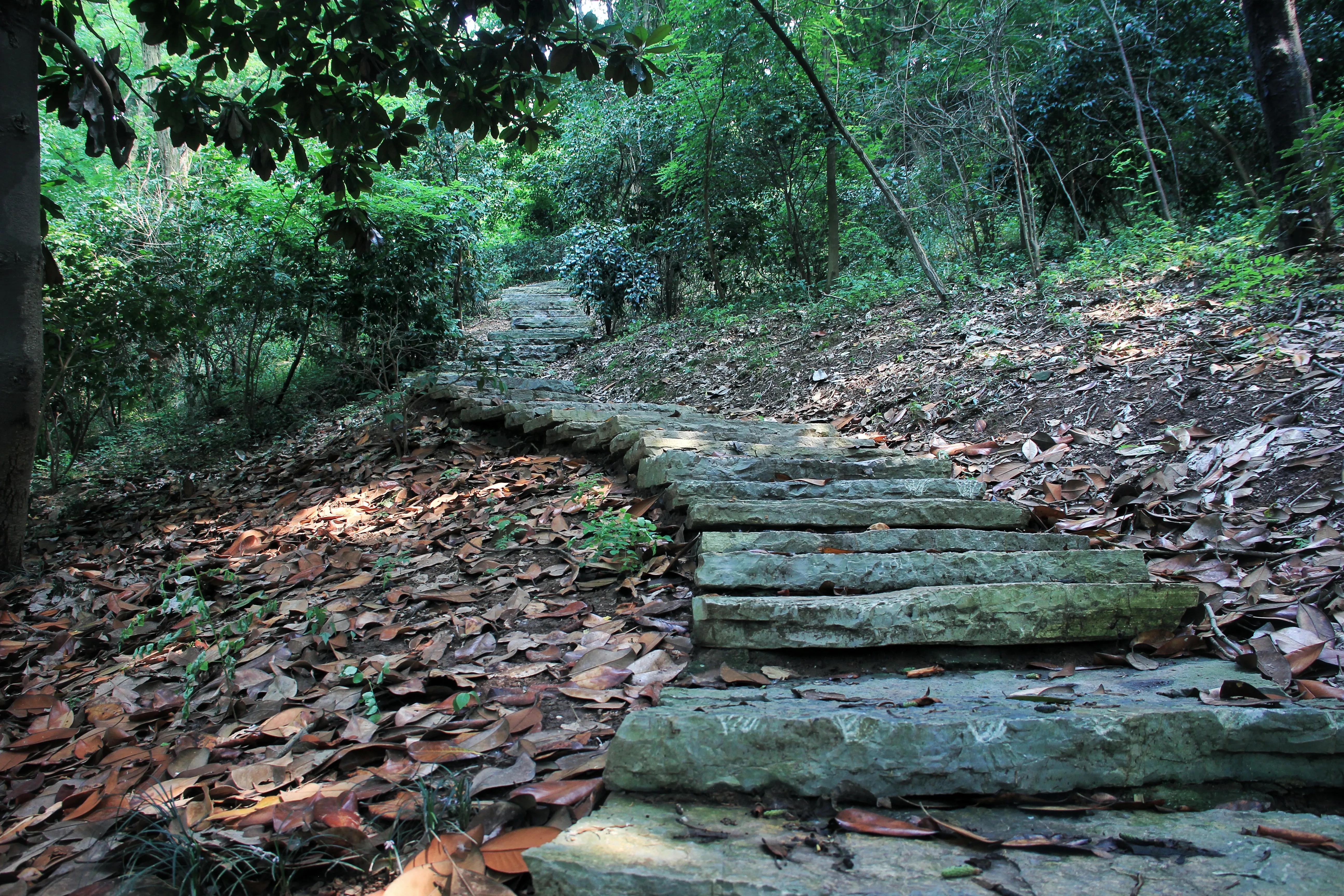 南京珍珠泉门票,南京珍珠泉野生动物园