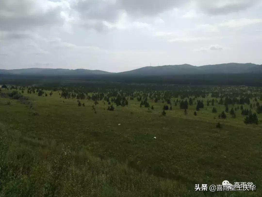 草原行蔚县,内蒙古草原行