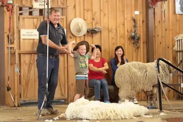 澳洲零食推荐之麦片篇,澳洲大牌零食