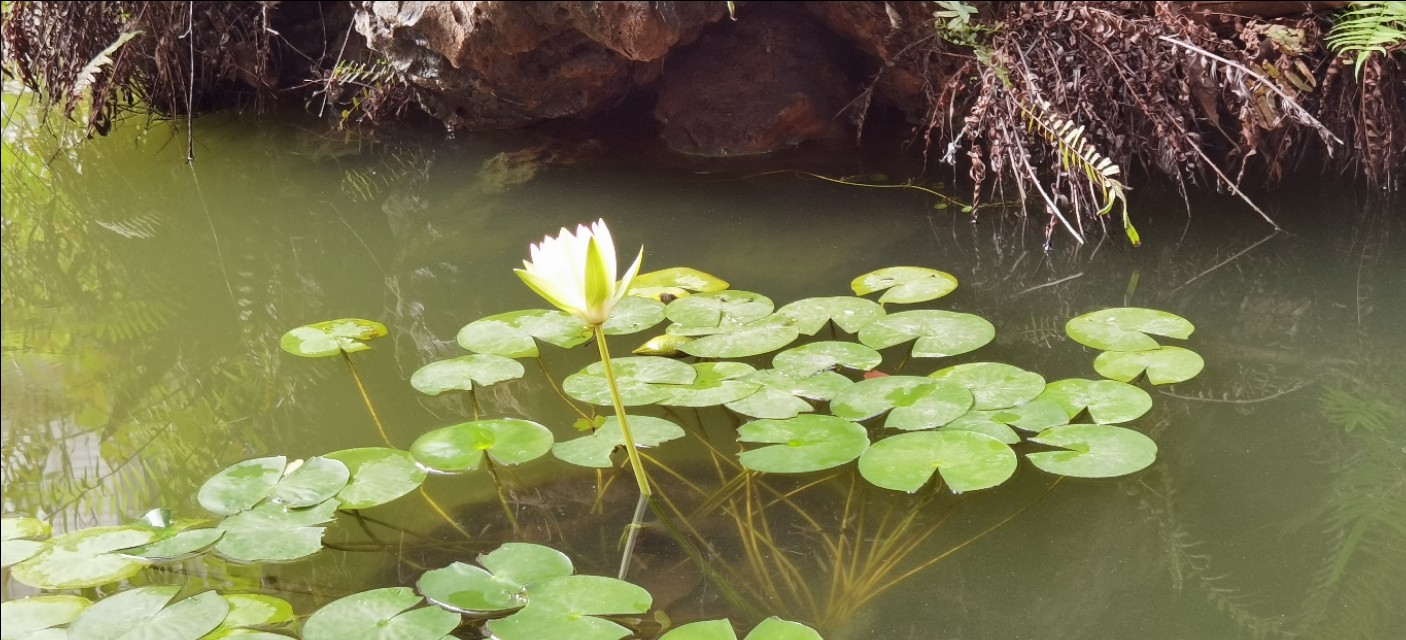 新高一家长需要了解什么,高一父母应该怎么做