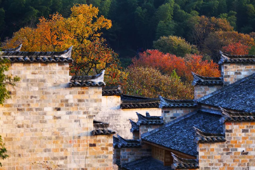 12月旅游最值得去的地方,12月份最美的旅行目的地