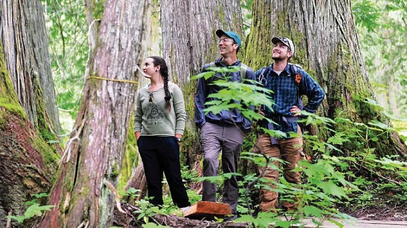 麦克马斯特大学加拿大最新排名,2020年加拿大约克大学排名