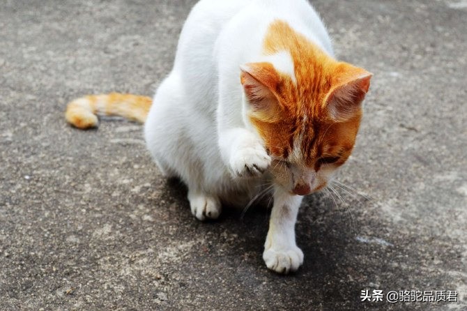 厦门海边之旅,厦门小众旅游体验