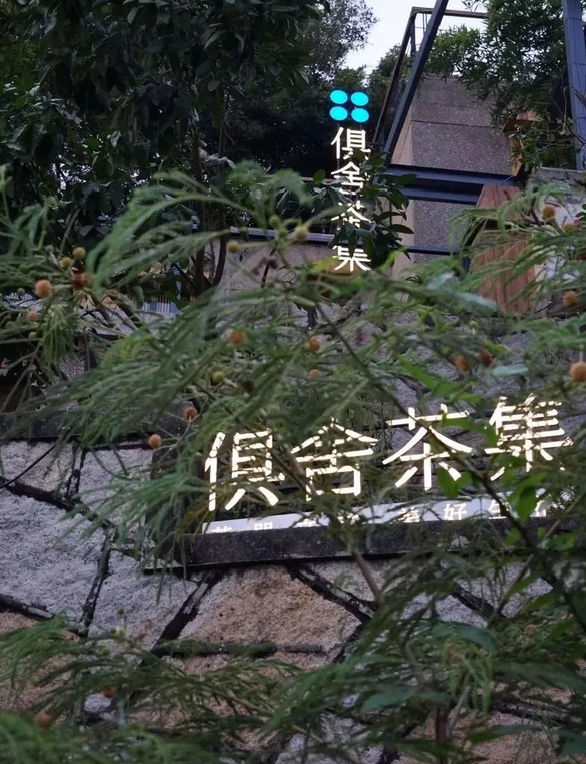 春天的第一杯茶颜悦色奶茶,春天的第一杯竹筒茶