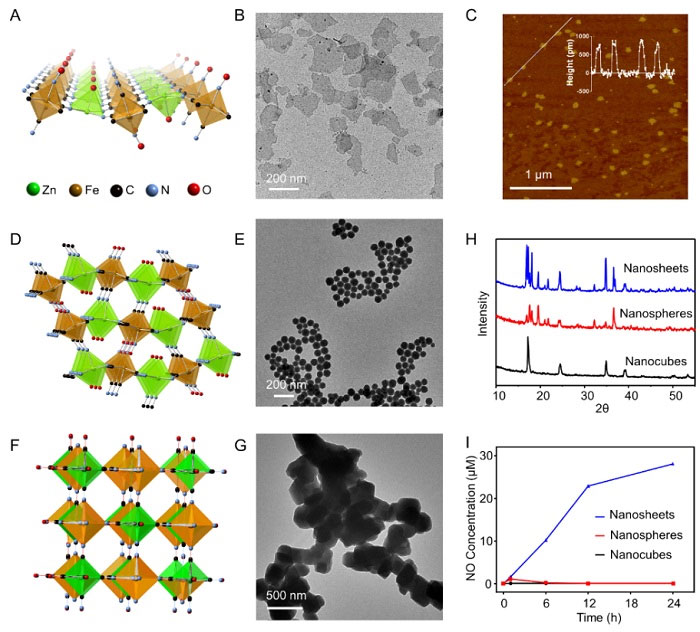 刘庄团队:自激发二维纳米材料,增强核素-免疫联合治疗