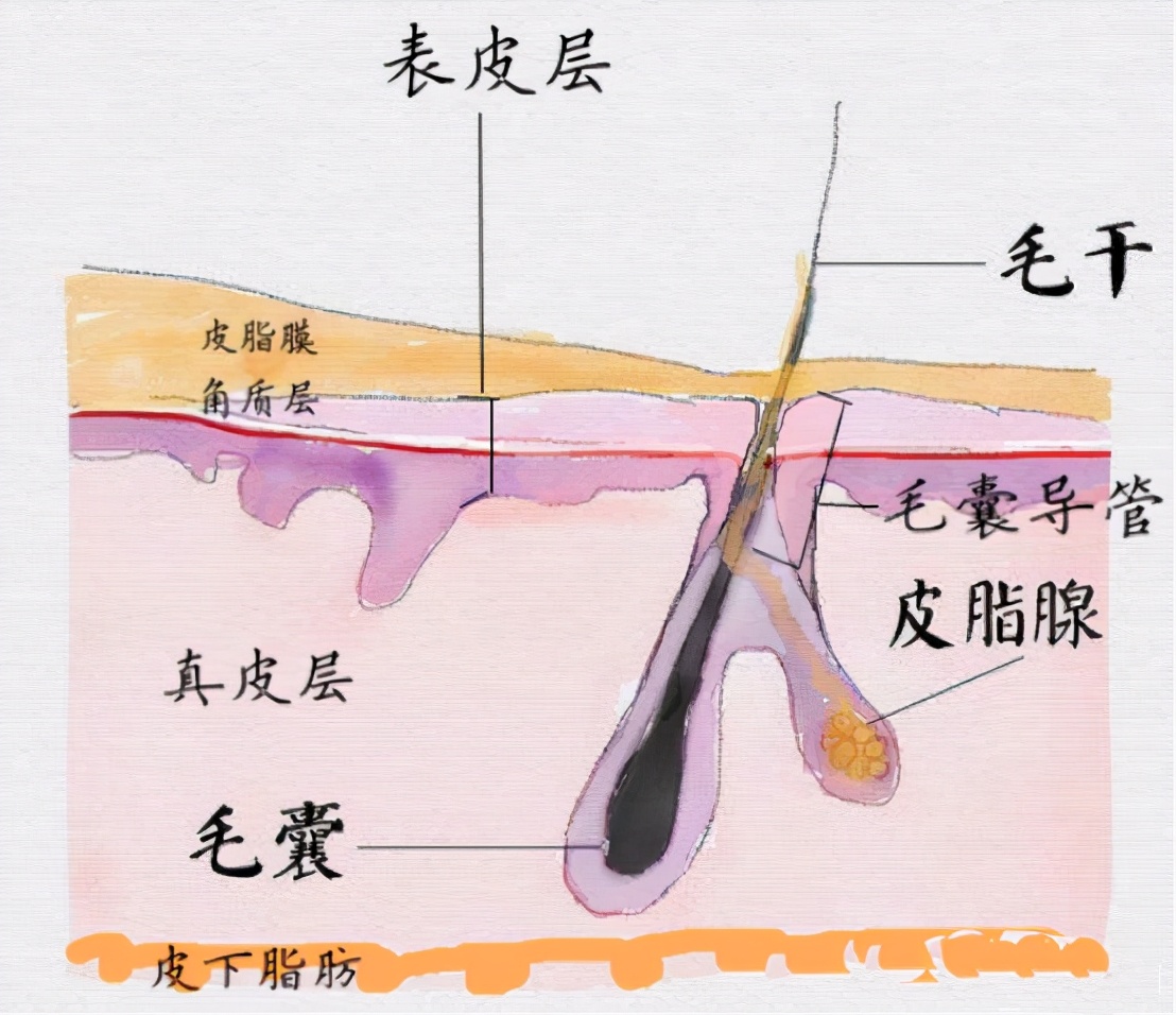 盘点护肤界的那些智商税,护肤界十大智商税