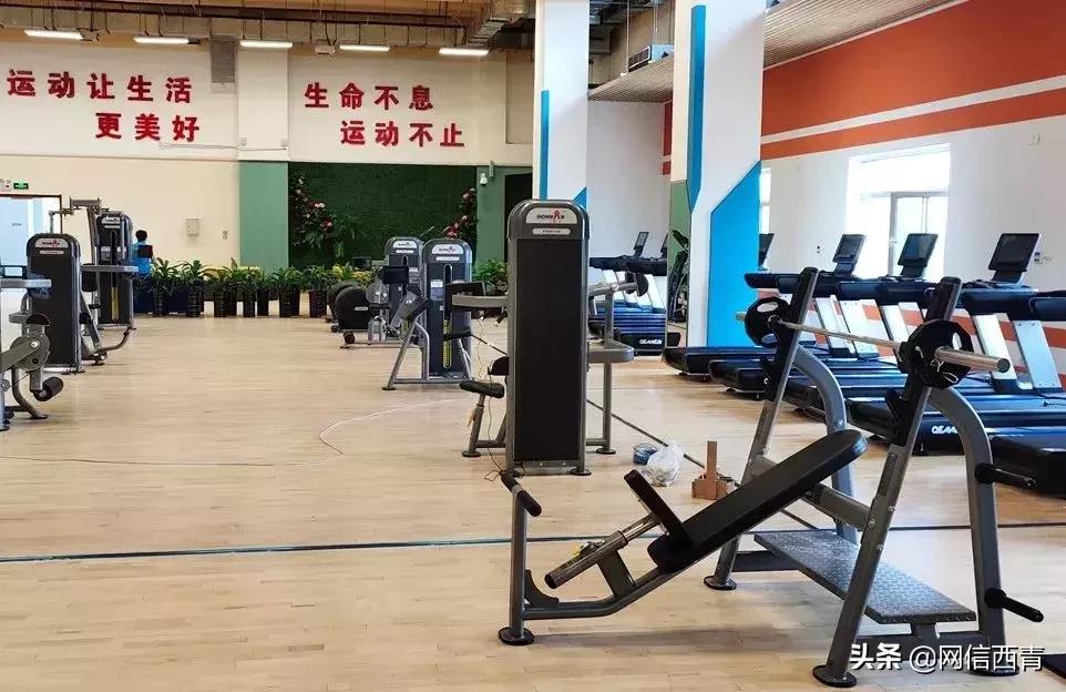 体操王子李宁走进天津西青——西青区全民健身运动会倒计时100天暨天津西青李宁运动中心开园活动举行