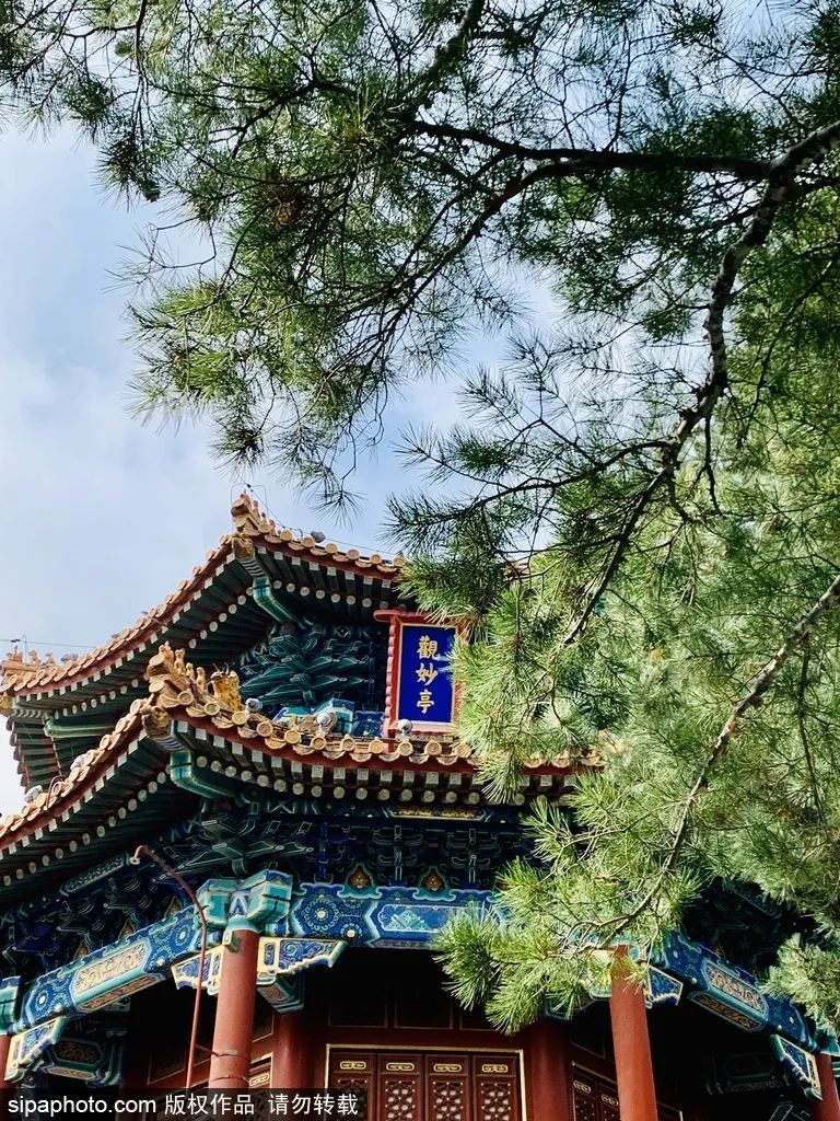 北京花海免费旅游,北京看花海最好的地方