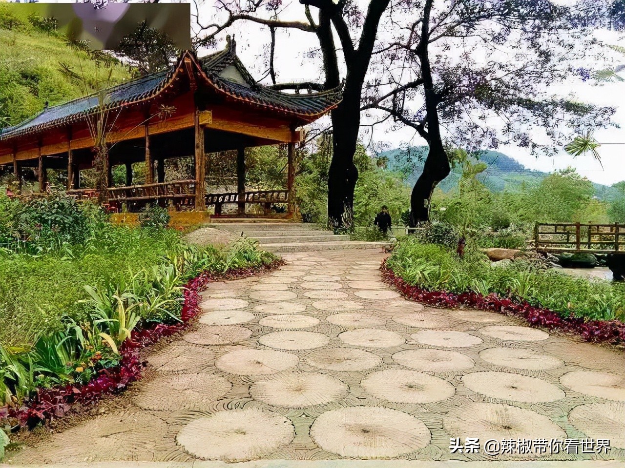 小城故事陇川,康县小城故事