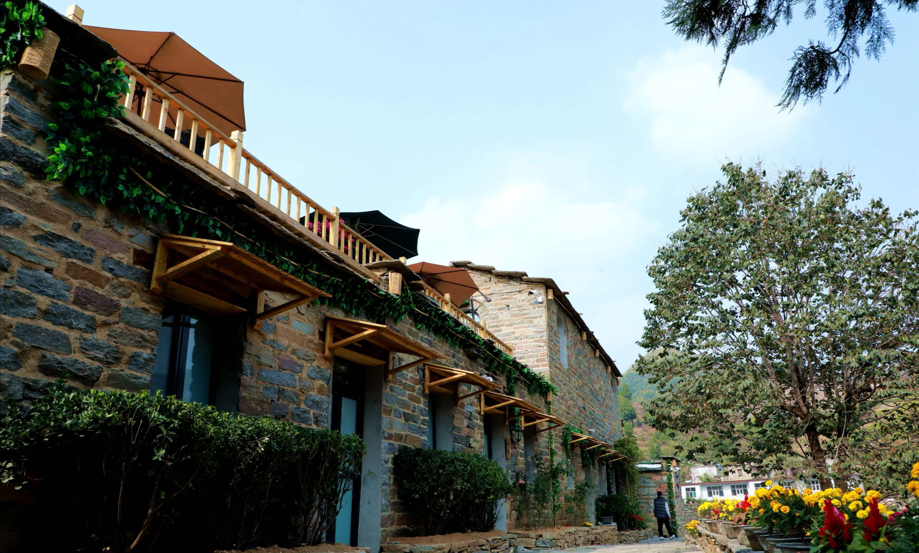 邢台附近有特色的民宿有哪些,邢台小戈廖村民宿价格