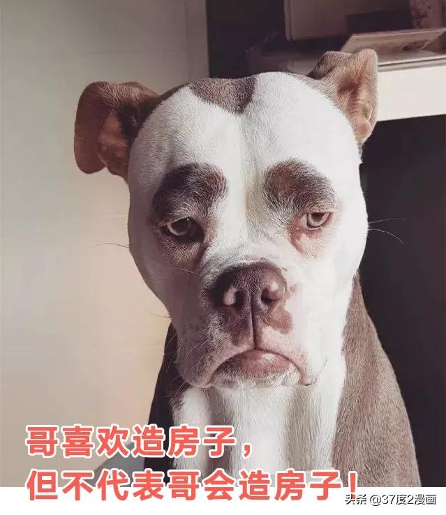 三国没你想象的落后！解方程、球体公式、飞行器了解下吧