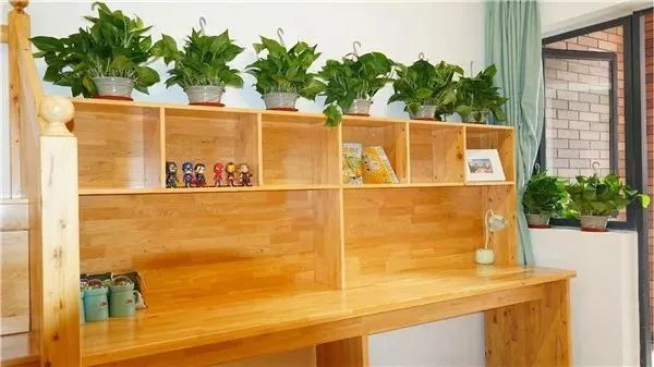 城北私立小学,城北私立中学