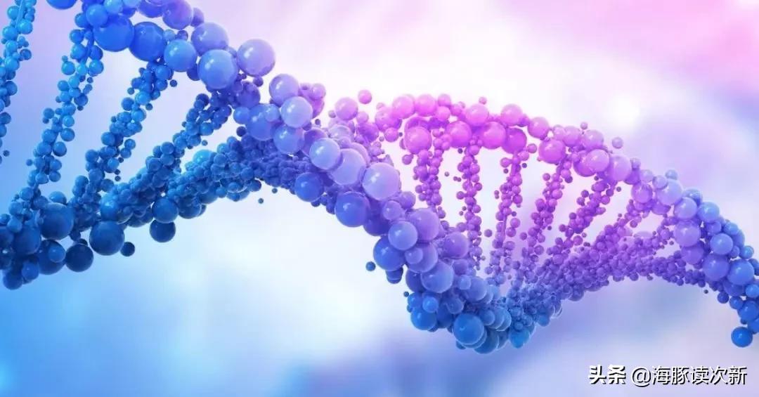 这只前期被爆炒的POCT新股主打国际市场，抗病毒试剂可出口国外..