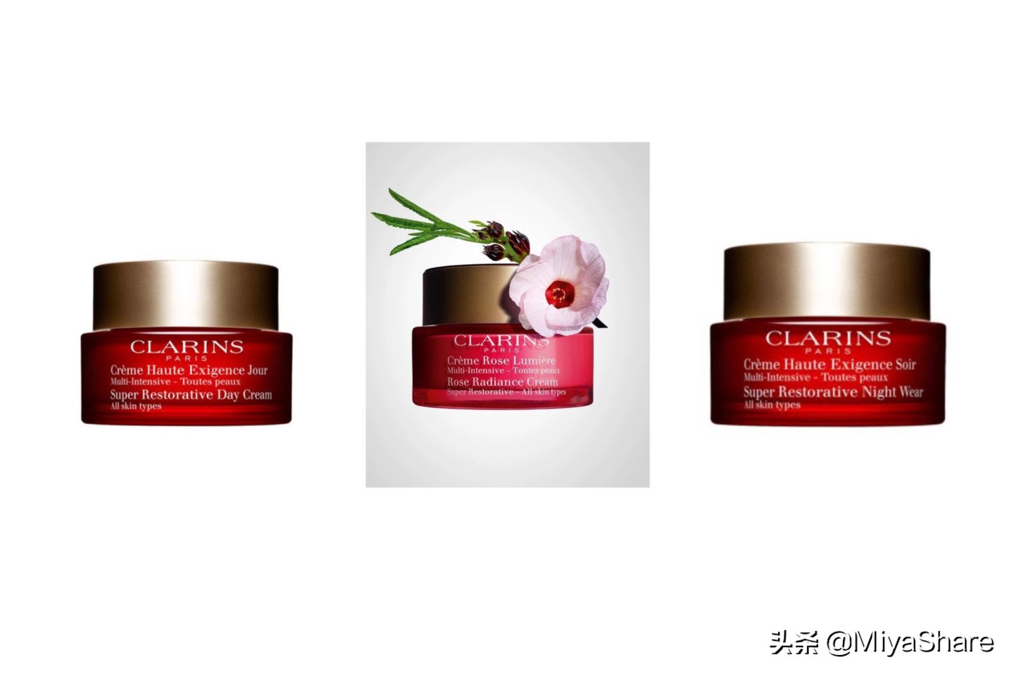 娇韵诗不死鸟面霜成分表,娇韵诗弹力面霜日霜晚霜测评