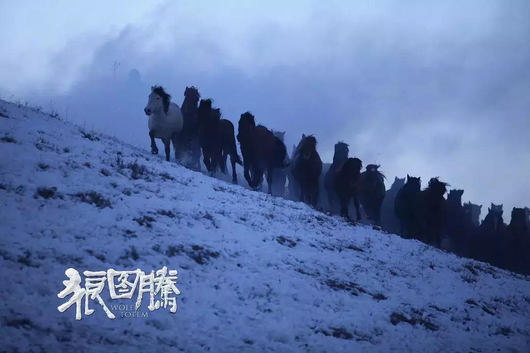 影视中的道具剑图片,影视剧中道具剑