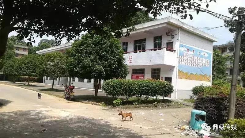 鼎城阳明中学和鼎城一中,常德市鼎城区阳明中学在哪里