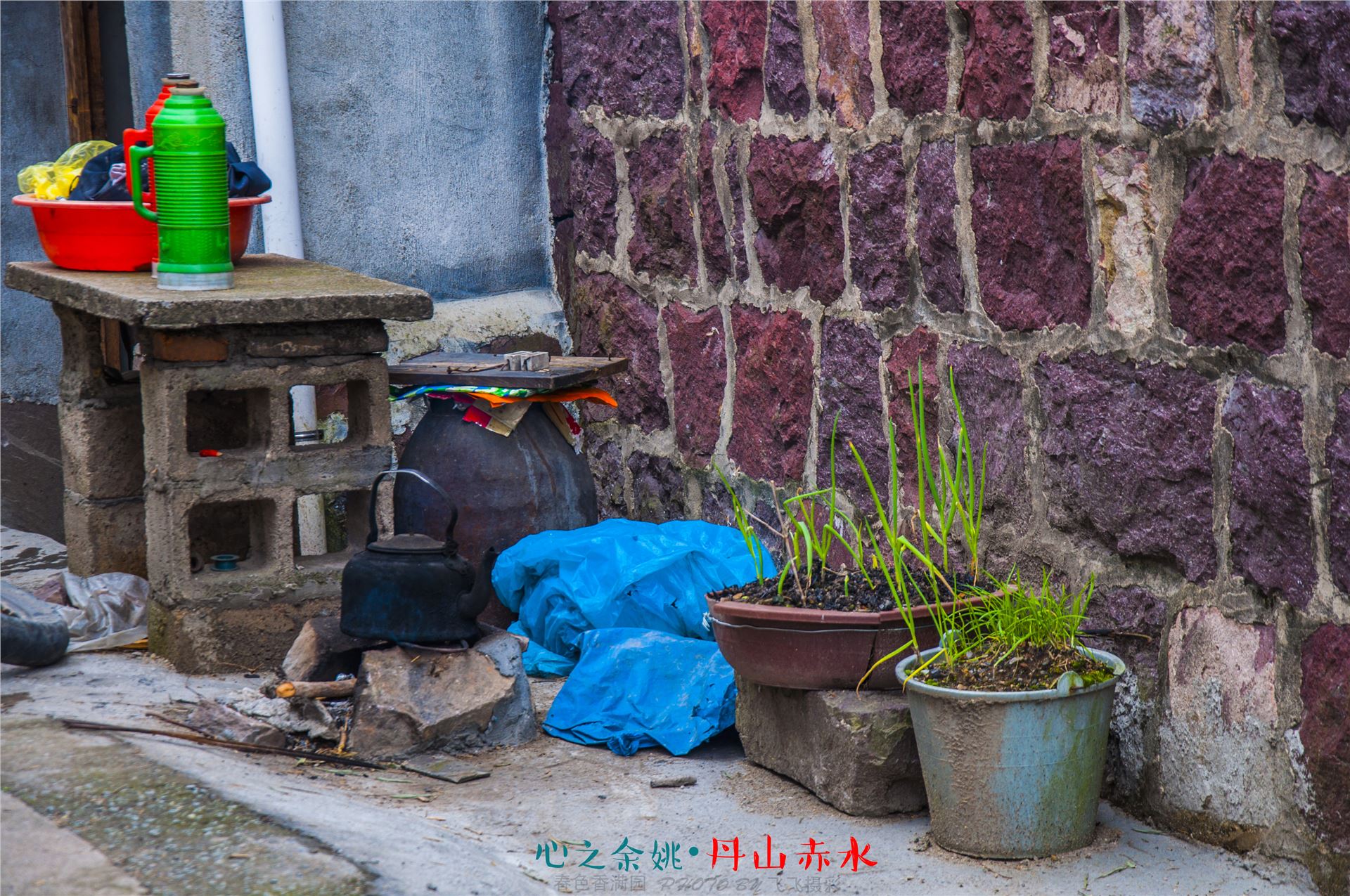 丹山赤水的老柿林景区,丹山赤水柿林古村