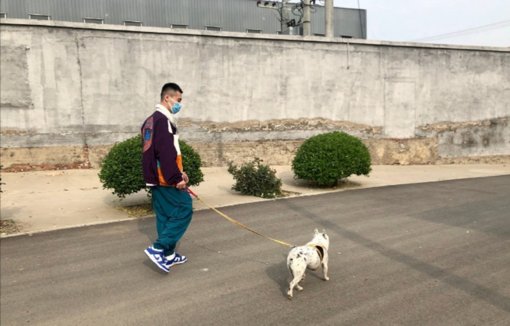 冯照洋带大的杨九郎,冯照洋谈杨九郎