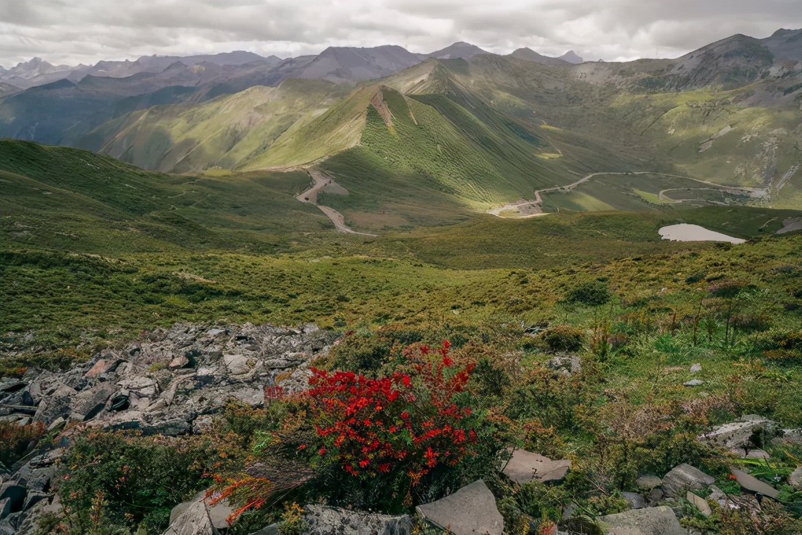 相宜本草中草药护肤,相宜本草的护肤过程