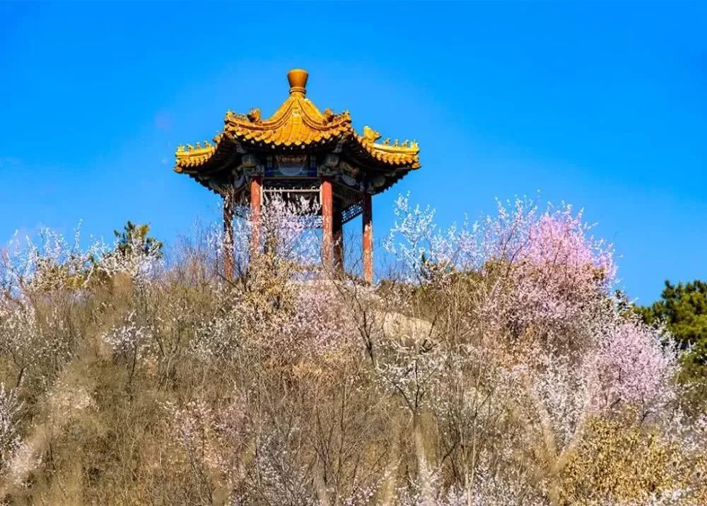 京郊四月美景,京郊四月