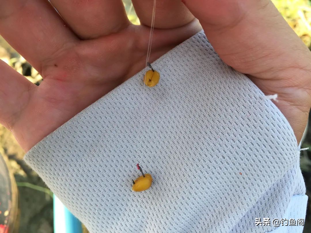 连续几天钓一个窝子鱼越钓越小,经常在同一个位置鱼越钓越小了