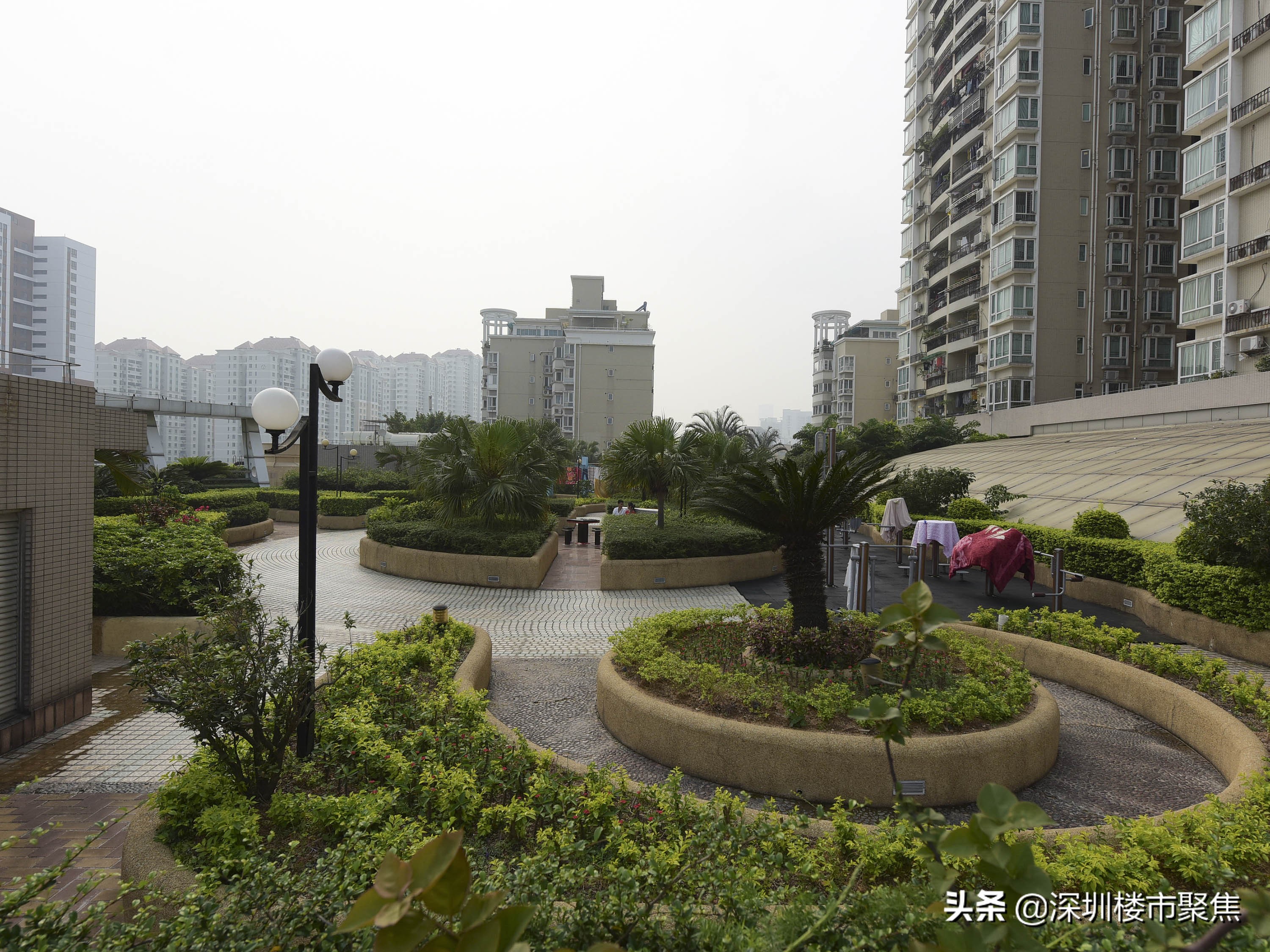 福田中学汤唯,汤唯的学校