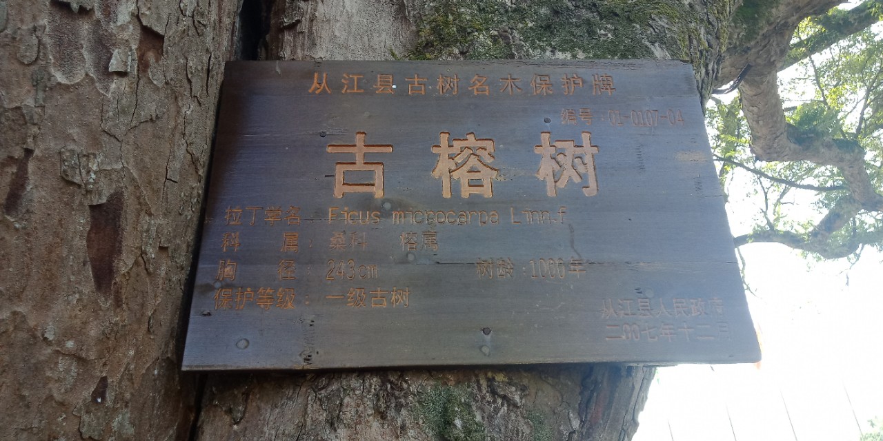 走在黔东南的路上,走进贵州黔东南榕江县