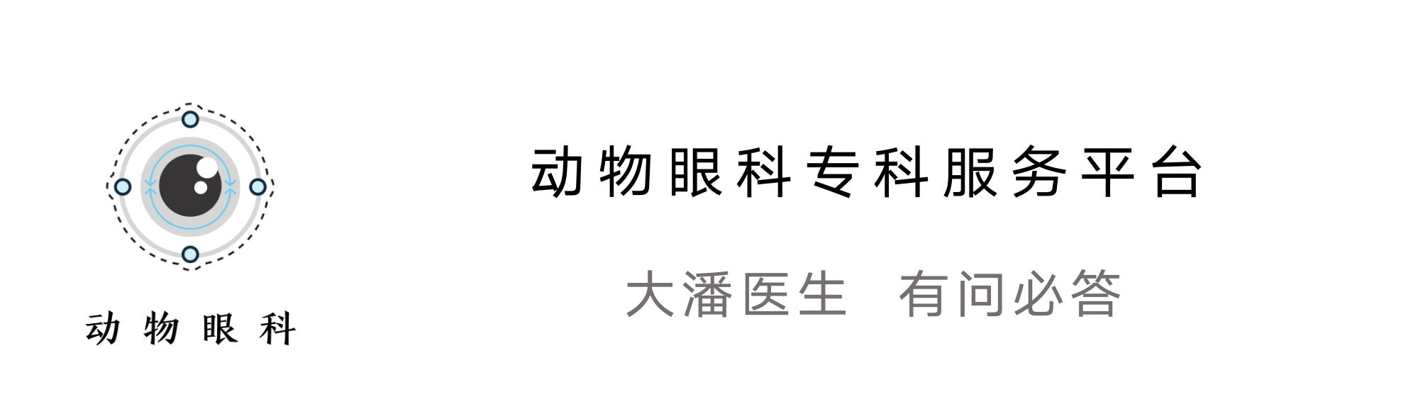 猫咪角膜穿孔必须摘除眼球吗,猫咪脸穿孔