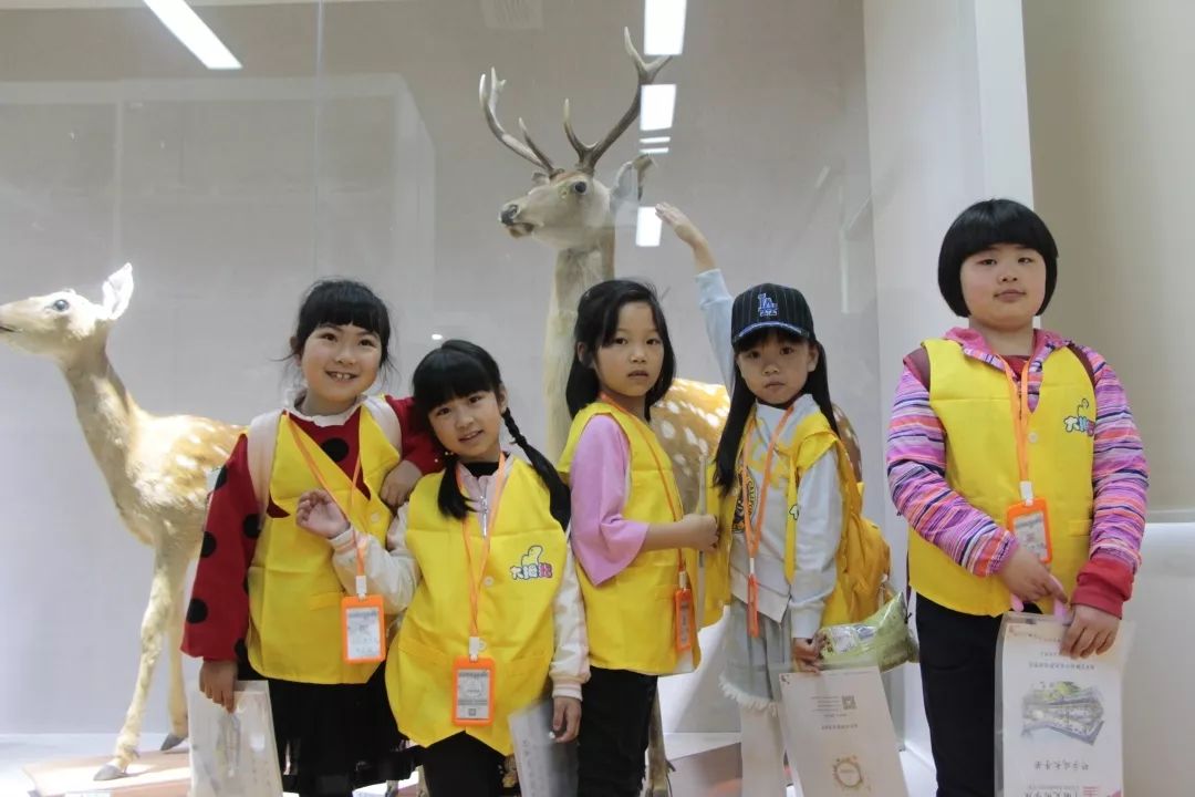 专业美院美术培训学校,高端美术特长生培训学校