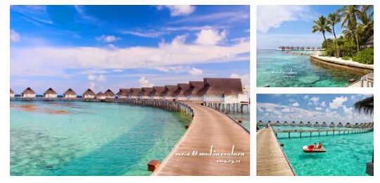 湛江马尔代夫旅游攻略,保定马尔代夫旅游攻略