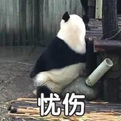 青春痘皮肤病如何治疗好,青春痘怎么治疗最好女学生