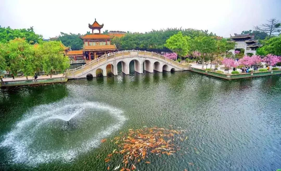 广东省男子篮球联赛东莞2022赛程,2015年番禺区村级篮球赛