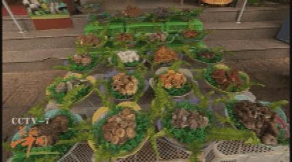 易门滇中水城湖边美景,滇中水城易门的夏日印记