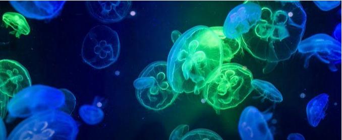 数学九年级下册圆知识点,九年级下册数学第二十九章知识点