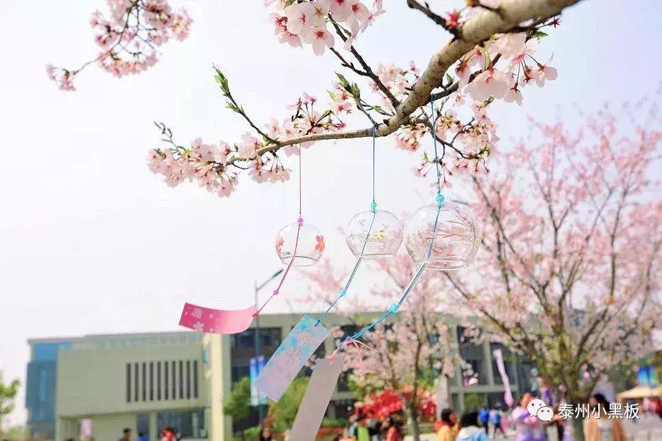 泰州高校—这份来自泰职院的专属说明书,你值得拥有