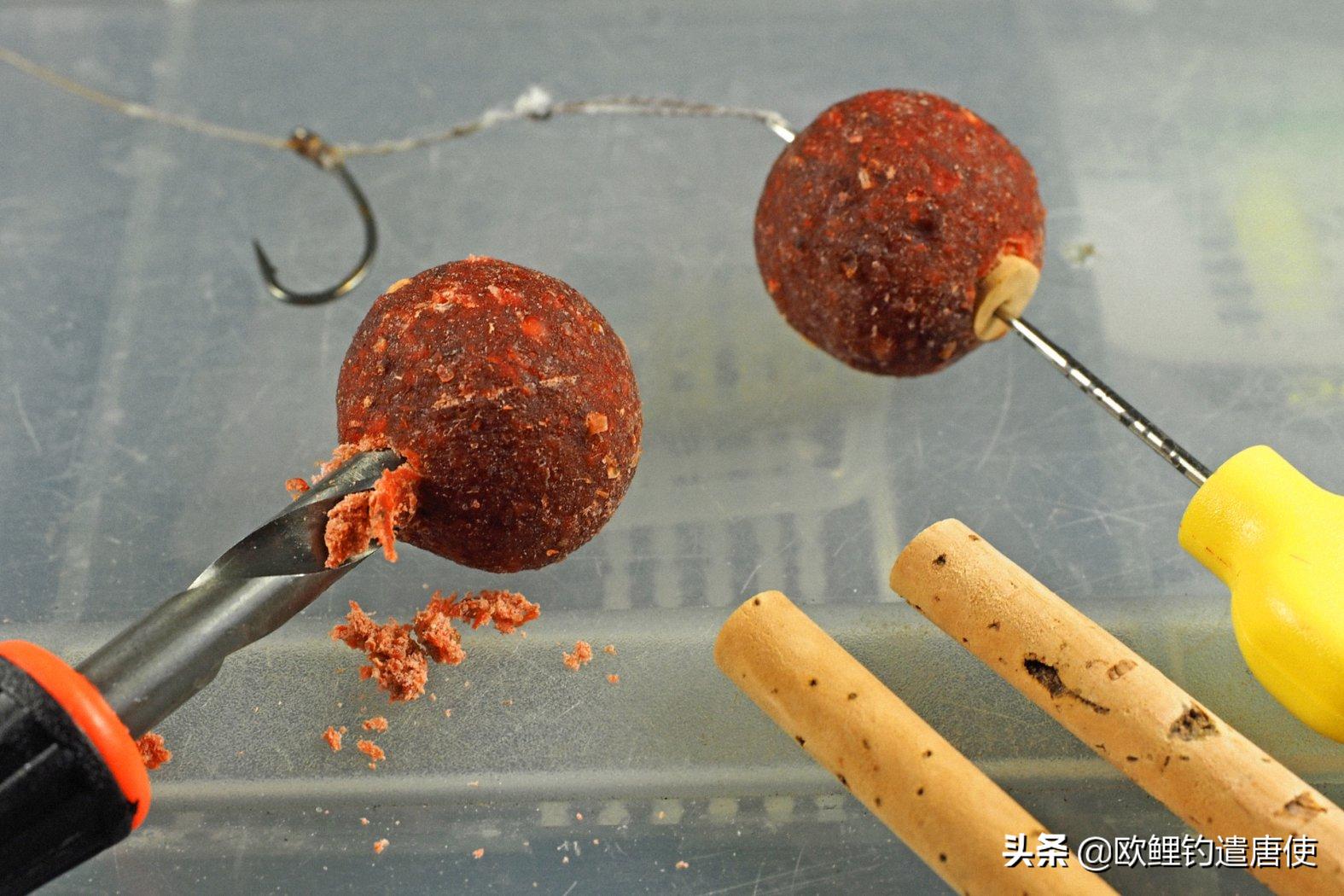 话说欧鲤钓之科学篇,欧鲤钓知识讲解