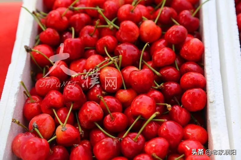 濮阳县各乡镇地名由来,濮阳最早出现的地名