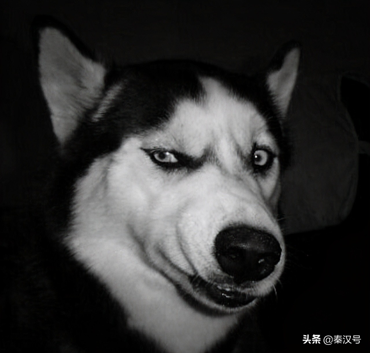 瓦良格号过土耳其海峡给多少钱,瓦良格经过土耳其给了多少钱