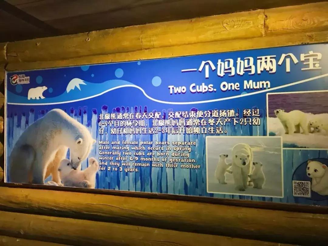 珠海长隆亲子游攻略自由行,珠海长隆亲子游最佳攻略