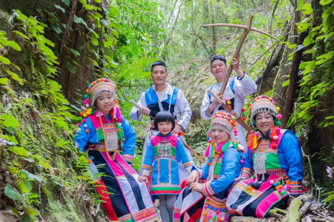 腾冲高山草甸景点,腾冲高原草场